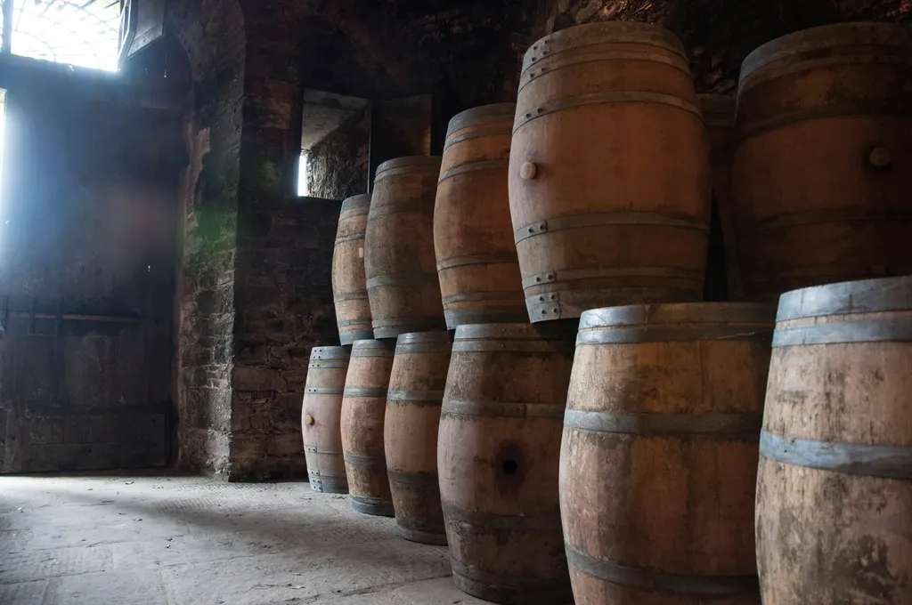 Barriques de chêne empilées dans un chai voûté